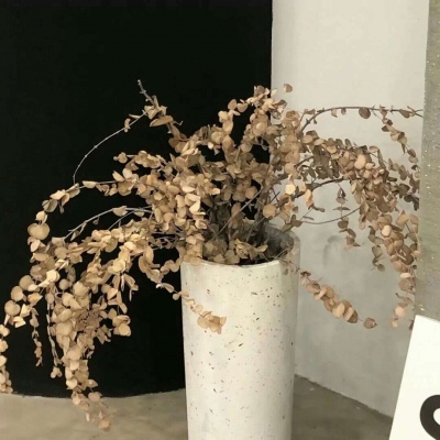 Furry插画人物结合Furry群